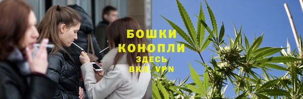 дживик Абаза