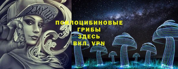 дживик Абаза