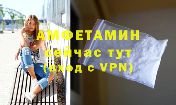 дживик Абаза