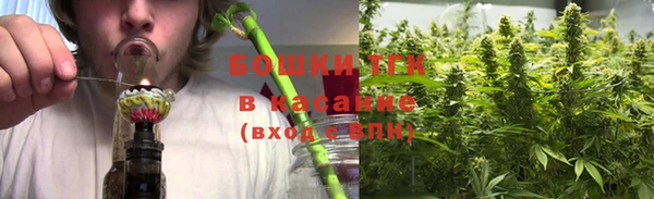 сатива Арсеньев