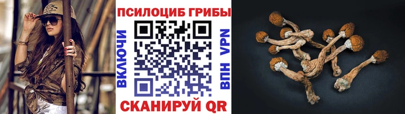 закладки  это клад  Псилоцибиновые грибы мухоморы  Дербент 